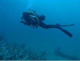 Les bienfaits de la plongée sous-marine : Divin Giens vous explique tout !