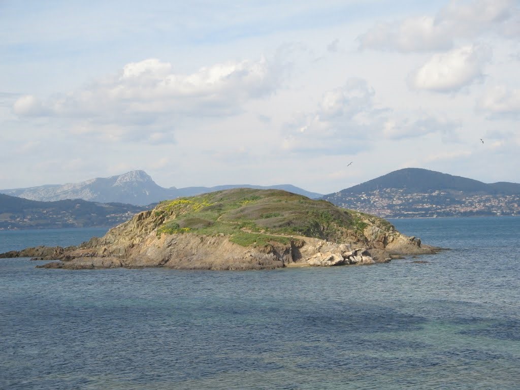 La Redonne- Pointe Chevalier-Île-snorkeling-Hyeres-Giens-vacances