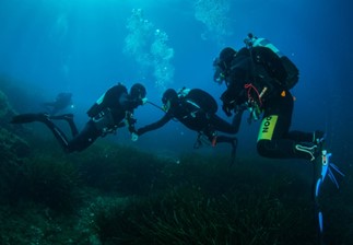 plongée sous-marine presqu’île de Giens