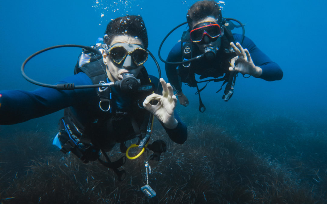 Plongée-sous marine VS snorkeling : comprendre les différences