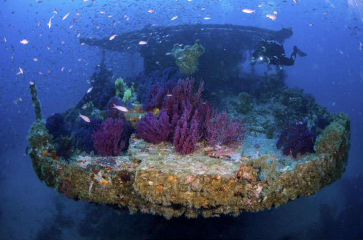 Divin’Giens, plongée Hyères, Presqu’île de Giens