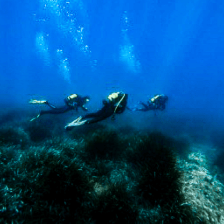 Plongeurs explorant les fonds marins sur la presqu’île de Giens, à Hyères, Var 83. Crédit photo : Gossuin Brothers